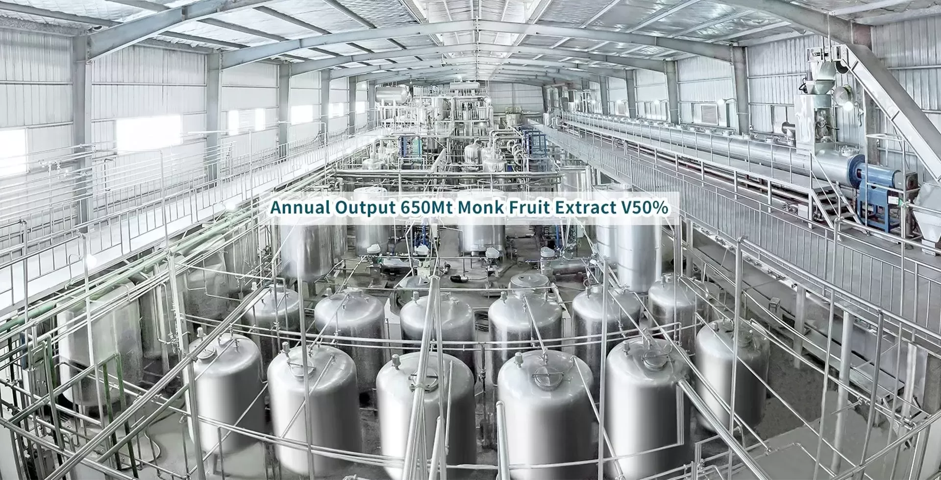 Monk Fruit Concentrated Juice - Zero Calorie Natural Sweetener